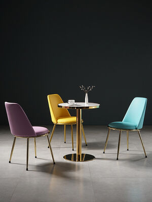 Outdoor Gold Metal Frame Dining Chairs Minimalist North European Style Dining Set Comfortable