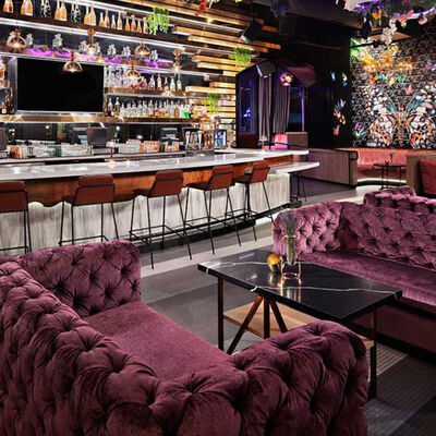 Bom preço Sofá roxo de Sofa Classic Button Tufting Bistro da sala de estar do clube de veludo on-line